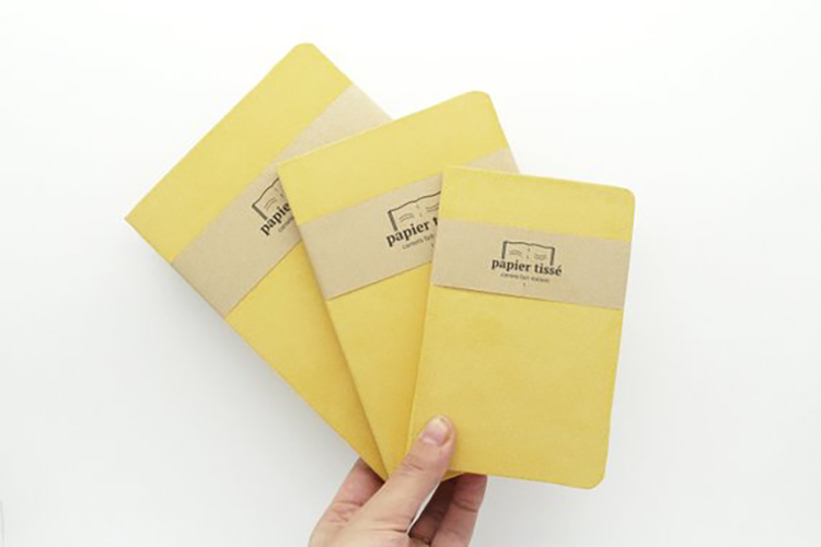 Carnet Collection Suedine